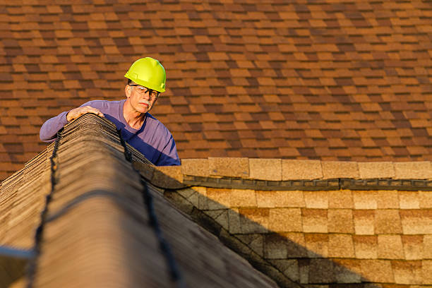 Best Roof Gutter Cleaning  in Lansing, MI